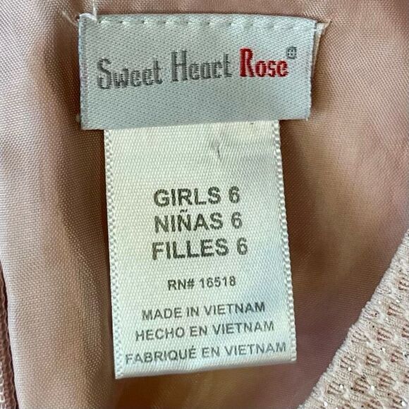 Sweet Heart Rose Girls Empire Waist Formal Fliral Dress 6 - Picture 8 of 9